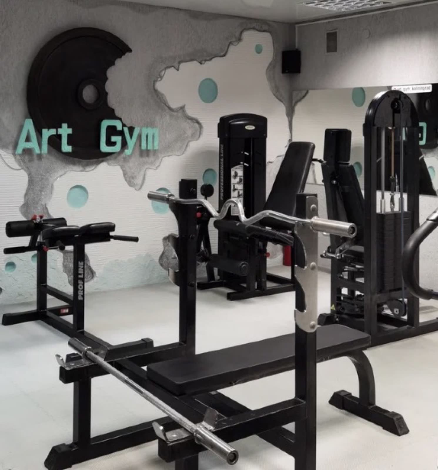 Зал Art Gym: стена с логотипом и тренажёры